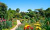 Botanical Gardens: Discover San Miguel de Allende’s Hidden Gem